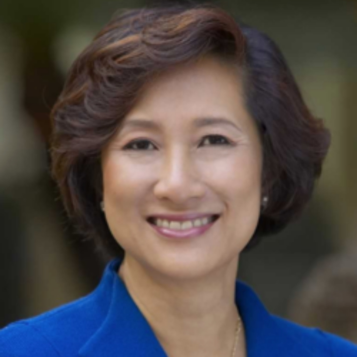 Constance H. Lau - Hawaiian Electric Industries