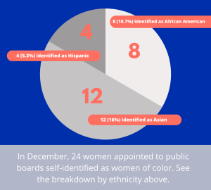 Board Report Infographics Ethnicity