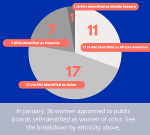 Board Report Infographics Ethnicity